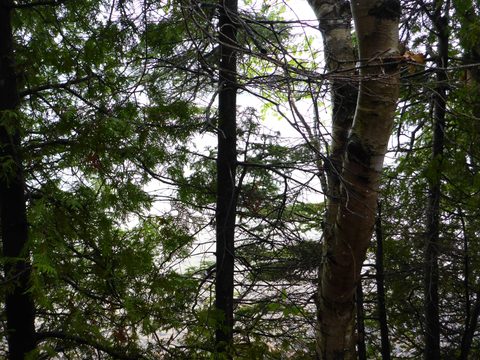 Photo from Kayaking/Hiking, Bruce Peninsula National Park
