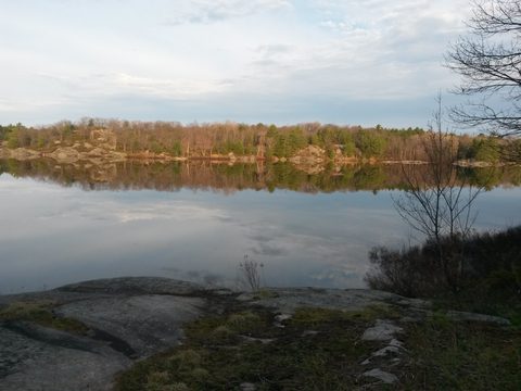 Photo from The Massasauga PP: Calhoun Lodge and Baker Trail Cleanup