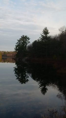 Photo from The Massasauga PP: Calhoun Lodge and Baker Trail Cleanup