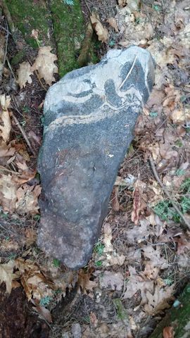 Photo from The Massasauga PP: Calhoun Lodge and Baker Trail Cleanup
