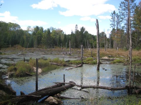 Photo from Trekking with Chev ~ @ Bon Echo: A Backpacking Adventure