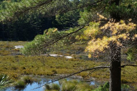 Photo from Trekking with Chev ~ @ Bon Echo: A Backpacking Adventure