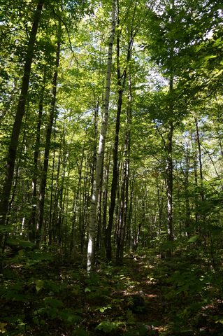 Photo from Trekking with Chev ~ @ Bon Echo: A Backpacking Adventure