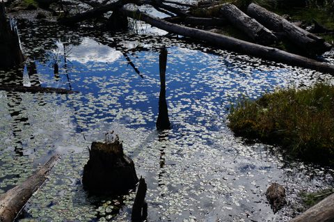 Photo from Trekking with Chev ~ @ Bon Echo: A Backpacking Adventure