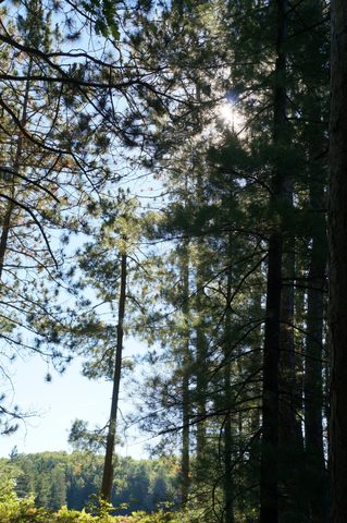Photo from Trekking with Chev ~ @ Bon Echo: A Backpacking Adventure