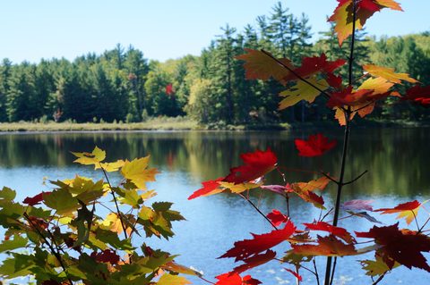 Photo from Trekking with Chev ~ @ Bon Echo: A Backpacking Adventure