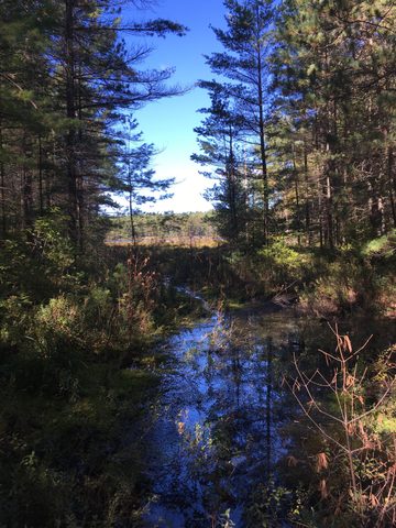 Photo from Trekking with Chev ~ @ Bon Echo: A Backpacking Adventure