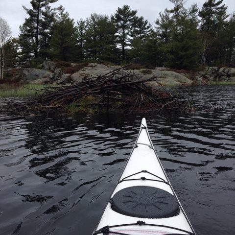 Photo from Bayfield Inlet - Scouting Exploration Trip