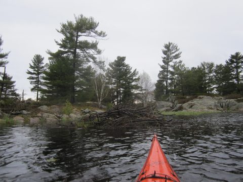 Photo from Bayfield Inlet - Scouting Exploration Trip
