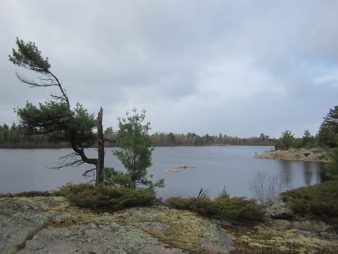 Photo from Bayfield Inlet - Scouting Exploration Trip