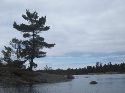 Photo from Bayfield Inlet - Scouting Exploration Trip