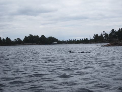 Photo from Bayfield Inlet - Scouting Exploration Trip
