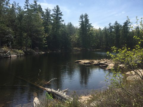 Photo from Kawartha Highlands Canoeing