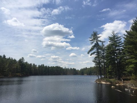 Photo from Kawartha Highlands Canoeing