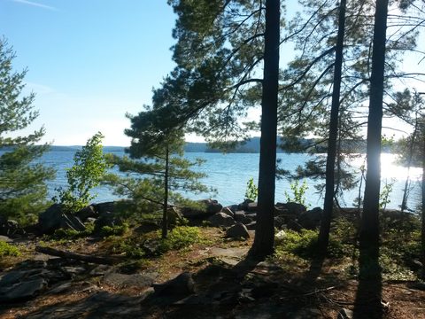 Photo from Temagami Long Weekend