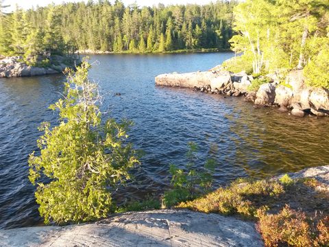 Photo from Temagami Long Weekend