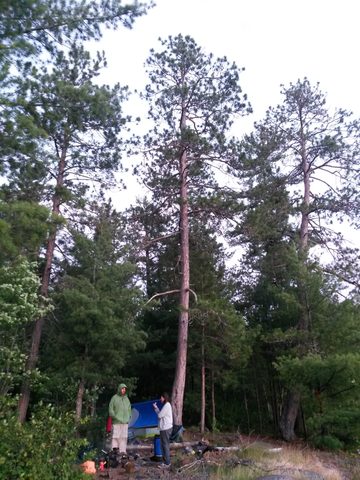 Photo from Temagami Long Weekend