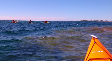 Photo from Kayaking The Mink And McCoy Islands