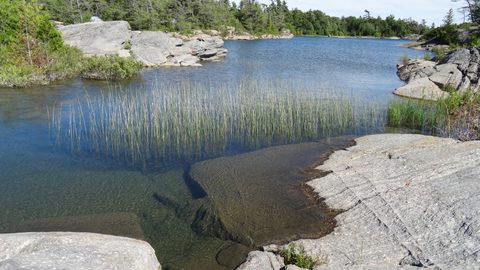 Photo from Kayaking The Mink And McCoy Islands