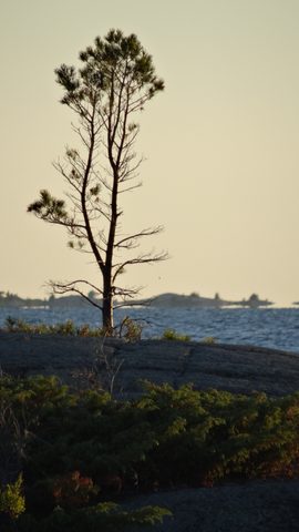 Photo from Kayaking The Mink And McCoy Islands