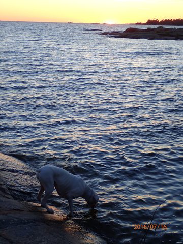 Photo from Kayaking The Mink And McCoy Islands