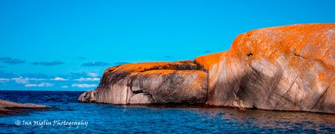 Photo from Kayaking The Mink And McCoy Islands