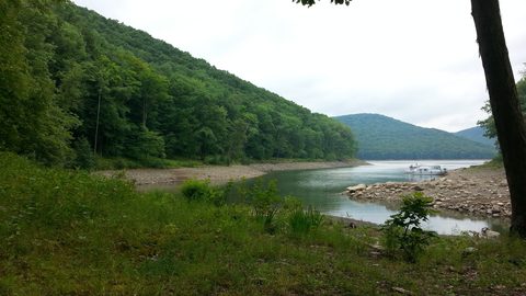 Photo from Road Trip:  Hiking in Allegany State Park (NY)