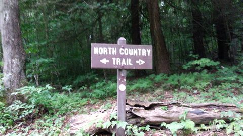 Photo from Road Trip:  Hiking in Allegany State Park (NY)