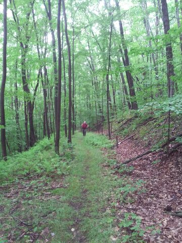 Photo from Road Trip:  Hiking in Allegany State Park (NY)