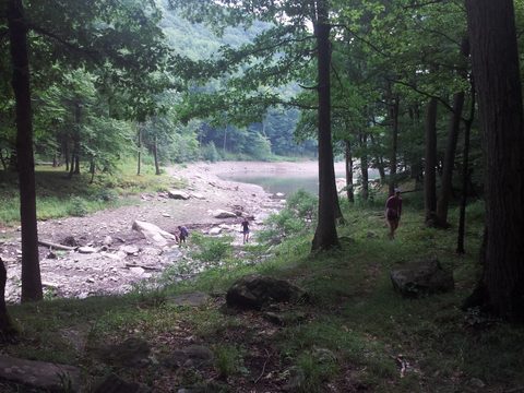 Photo from Road Trip:  Hiking in Allegany State Park (NY)