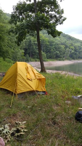 Photo from Road Trip:  Hiking in Allegany State Park (NY)