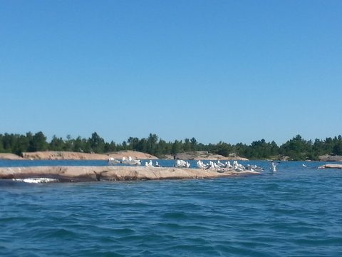 Photo from The PEI Trip That Never Happened....... But Did