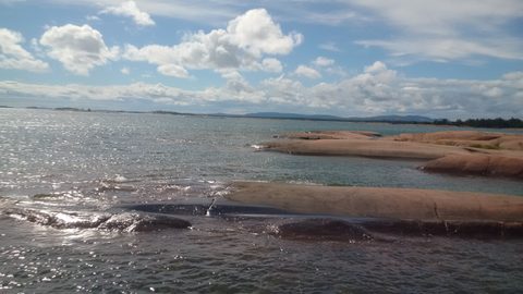Photo from The PEI Trip That Never Happened....... But Did