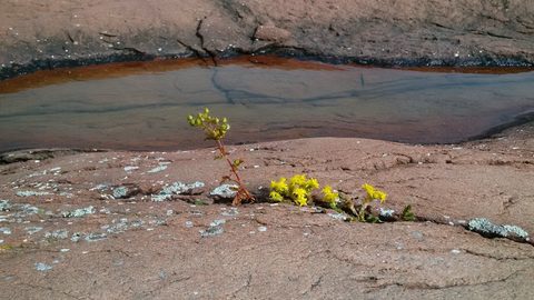 Photo from The PEI Trip That Never Happened....... But Did