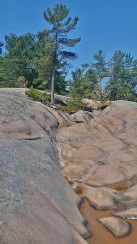 Photo from The PEI Trip That Never Happened....... But Did