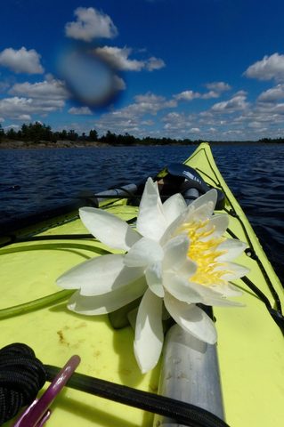 Photo from Paddling Painted - Kayaking out of Bayfield Inlet.