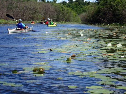 Photo from Paddling Painted - Kayaking out of Bayfield Inlet.