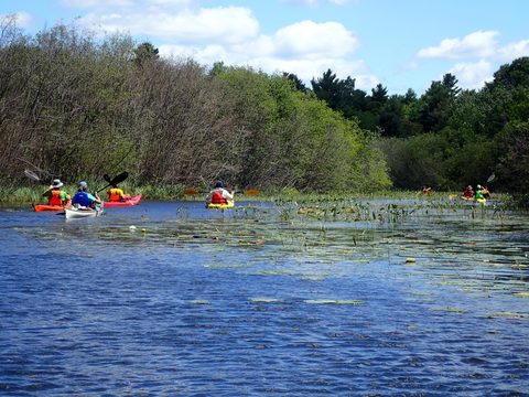 Photo from Paddling Painted - Kayaking out of Bayfield Inlet.