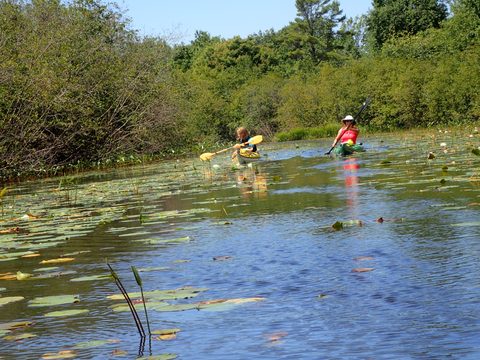 Photo from Paddling Painted - Kayaking out of Bayfield Inlet.