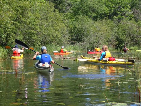 Photo from Paddling Painted - Kayaking out of Bayfield Inlet.