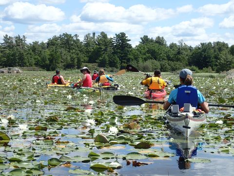 Photo from Paddling Painted - Kayaking out of Bayfield Inlet.