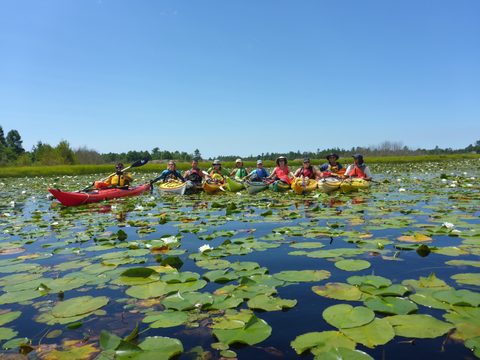 Photo from Paddling Painted - Kayaking out of Bayfield Inlet.