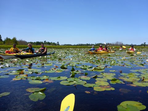 Photo from Paddling Painted - Kayaking out of Bayfield Inlet.