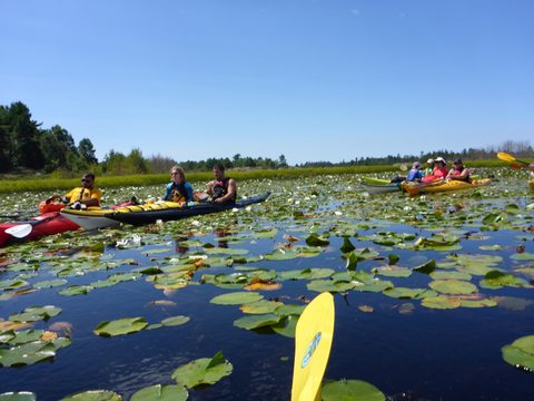 Photo from Paddling Painted - Kayaking out of Bayfield Inlet.
