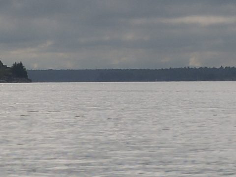 Photo from Kayak Therapy and friluftsliv at Big McCoy.