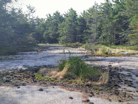 Photo from Kayak Therapy and friluftsliv at Big McCoy.