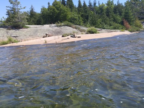Photo from Kayak Therapy and friluftsliv at Big McCoy.