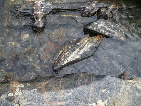 Photo from Kayak Therapy and friluftsliv at Big McCoy.