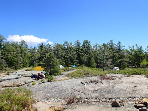 Photo from Kayak Therapy and friluftsliv at Big McCoy.