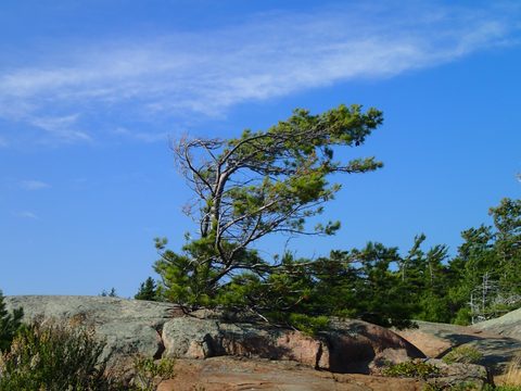Photo from Kayak Therapy and friluftsliv at Big McCoy.